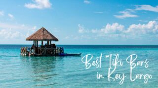 Best Tiki Bars in Key Largo feature image tiki bar on ocean