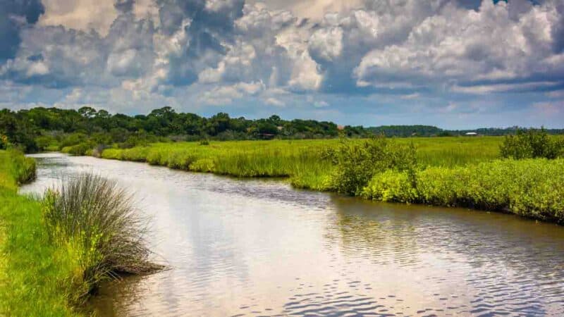 TOMOKA STATE PARK