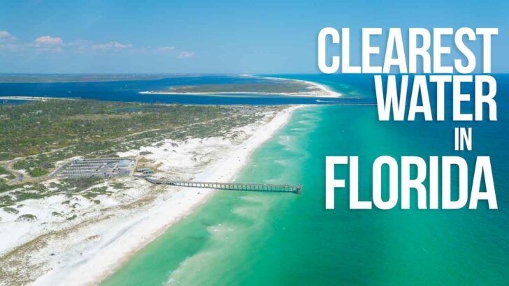Top 10 Beaches With the Clearest Water in Florida