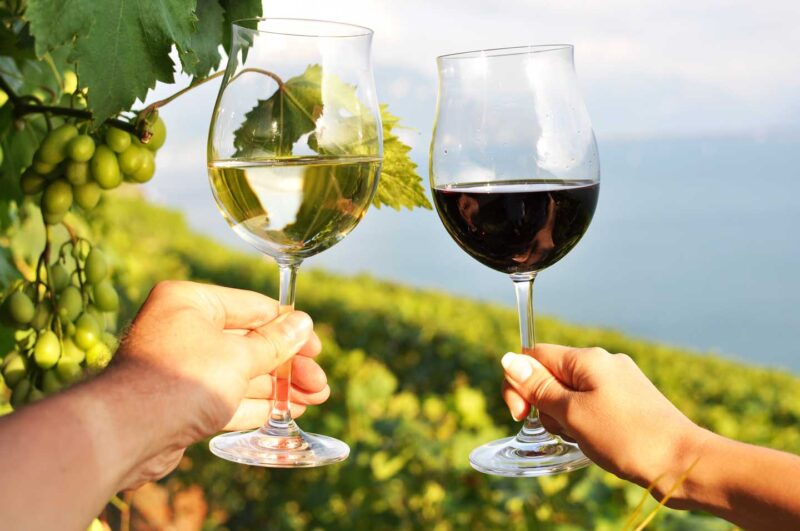 Duas mãos segurando taças de vinho na vinha