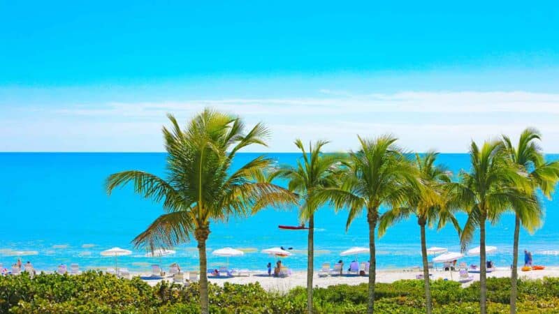 Sanibel Island Honeymoon Destination