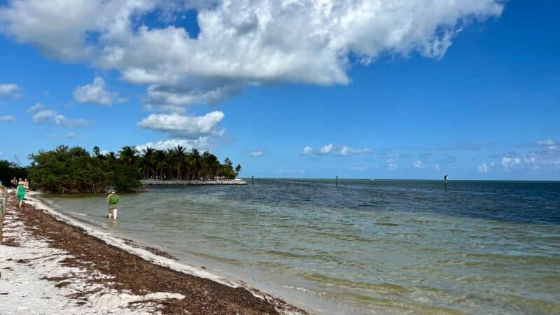 Curry Hammock State Park