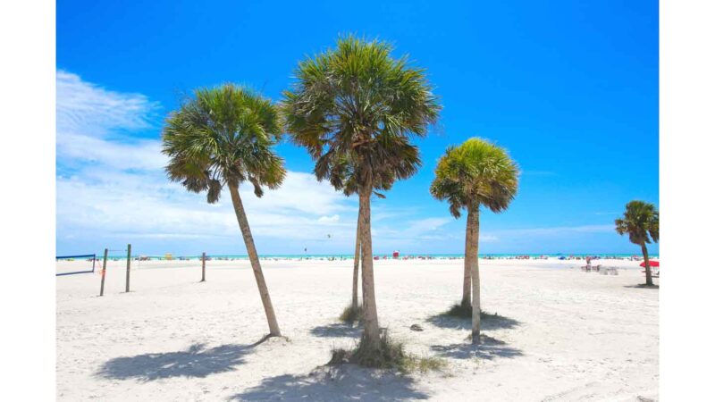 palmeiras em Perido Key Beach, na Flórida