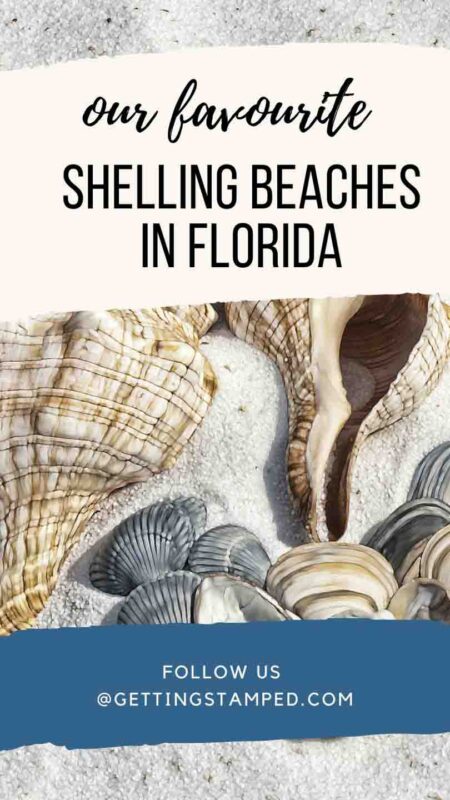 Captiva and Sanibel are the Best Places to go Shelling in Florida.