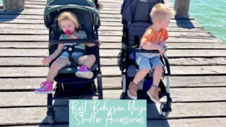 Two toddlers in strollers on the pier