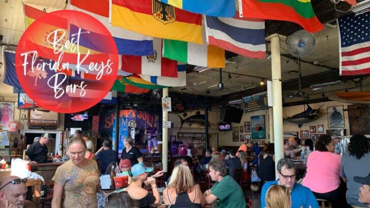 Top 12 Best Florida Keys Bars For a Pint