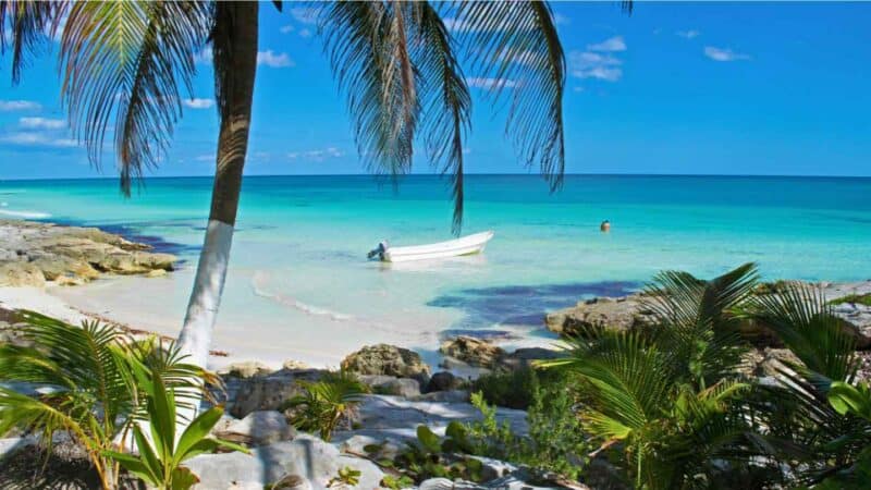 palm tree and boat at Dreams Tulum family resort