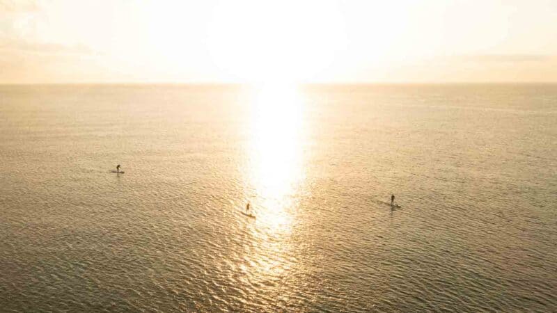 three standup paddle boarder during sunrise in Mexico