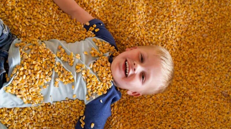 Corny barn at Lewis Adventure Farm Petting Zoo Michigan