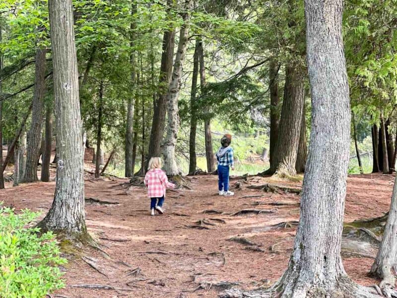 Hiking in Ludington State Park