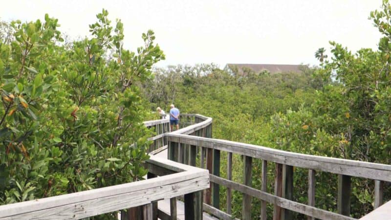 Indian Rocks Beach Nature Preserve boardwalk