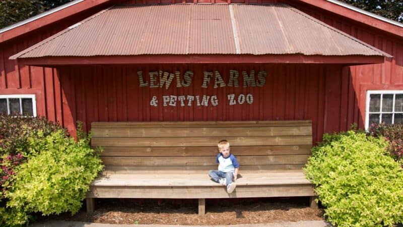 fun activity with kids Lewis Adventure Farm Petting Zoo Michigan