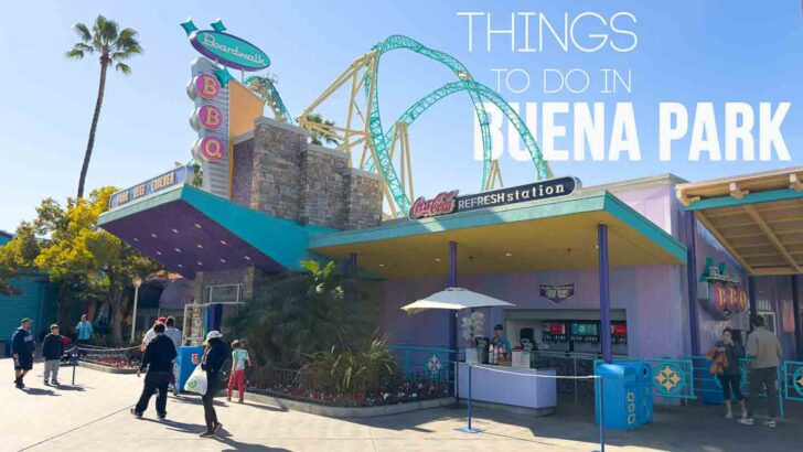 15 Things To Do in Buena Park California with Kids