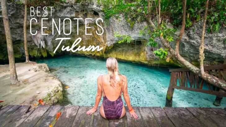 10 Best Cenotes Near Tulum – Must Visit List!