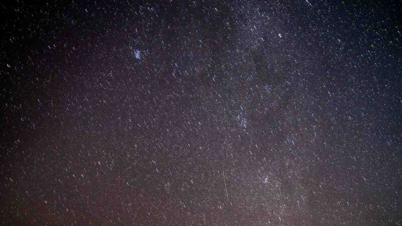 View of the stars in the dark night sky during a Bioluminescence tour in Isla Holbox