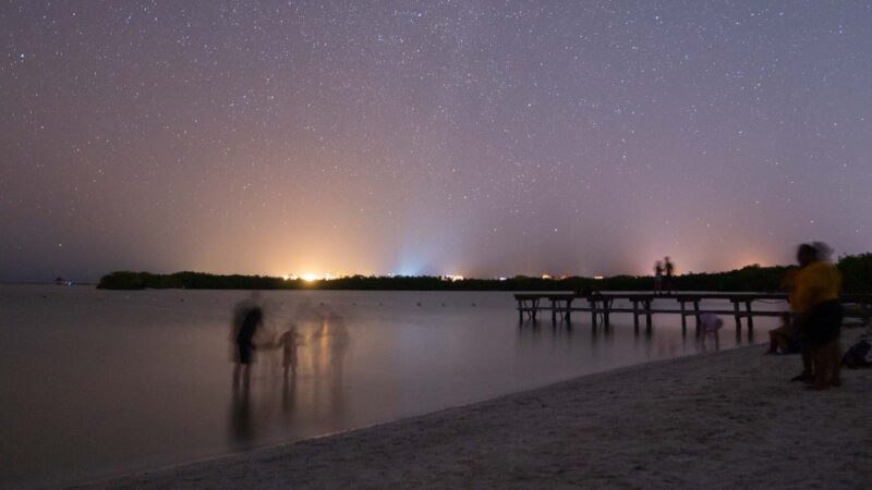 group of people seeing the Bioluminescence on a tour in Holbox at night
