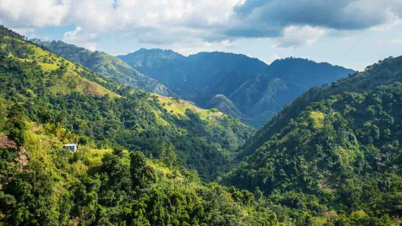 Blue Mountains in Jamaica, the coffee region 